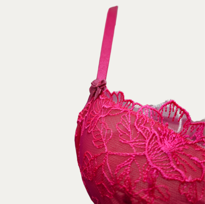 Hot pink Hibiscus | BH AA tot D