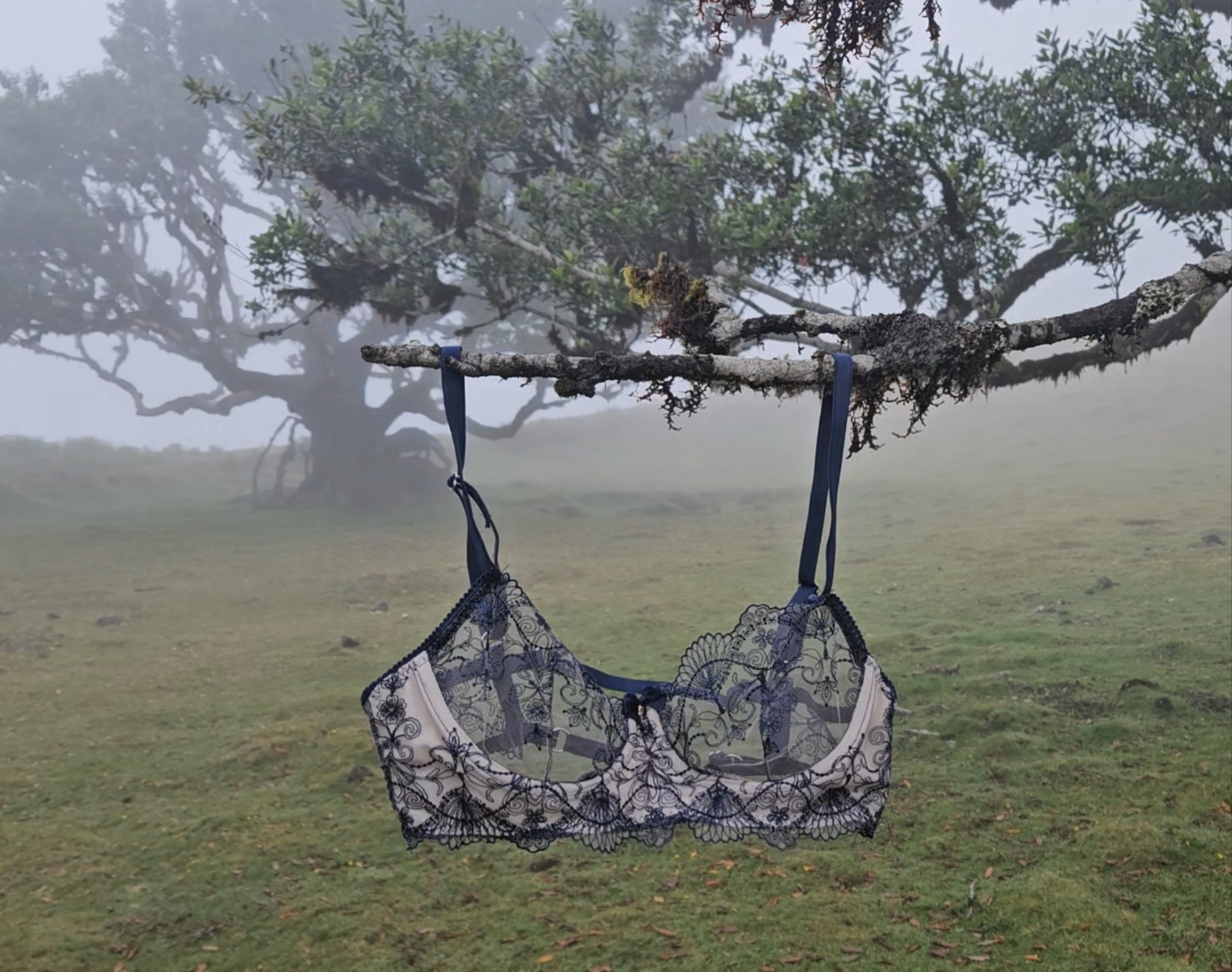 The mist | BH E tot J