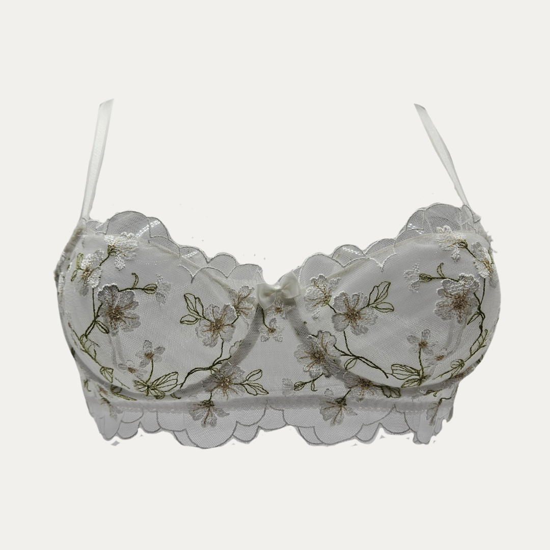 Daisy Dream | BH AA tot D